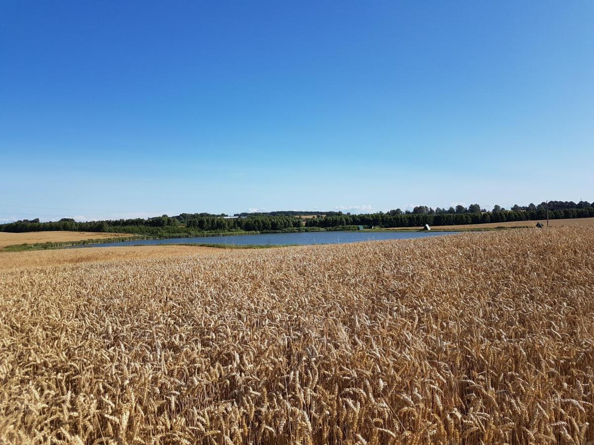 Villa Sterla - Masuria Giżycko Esterno foto